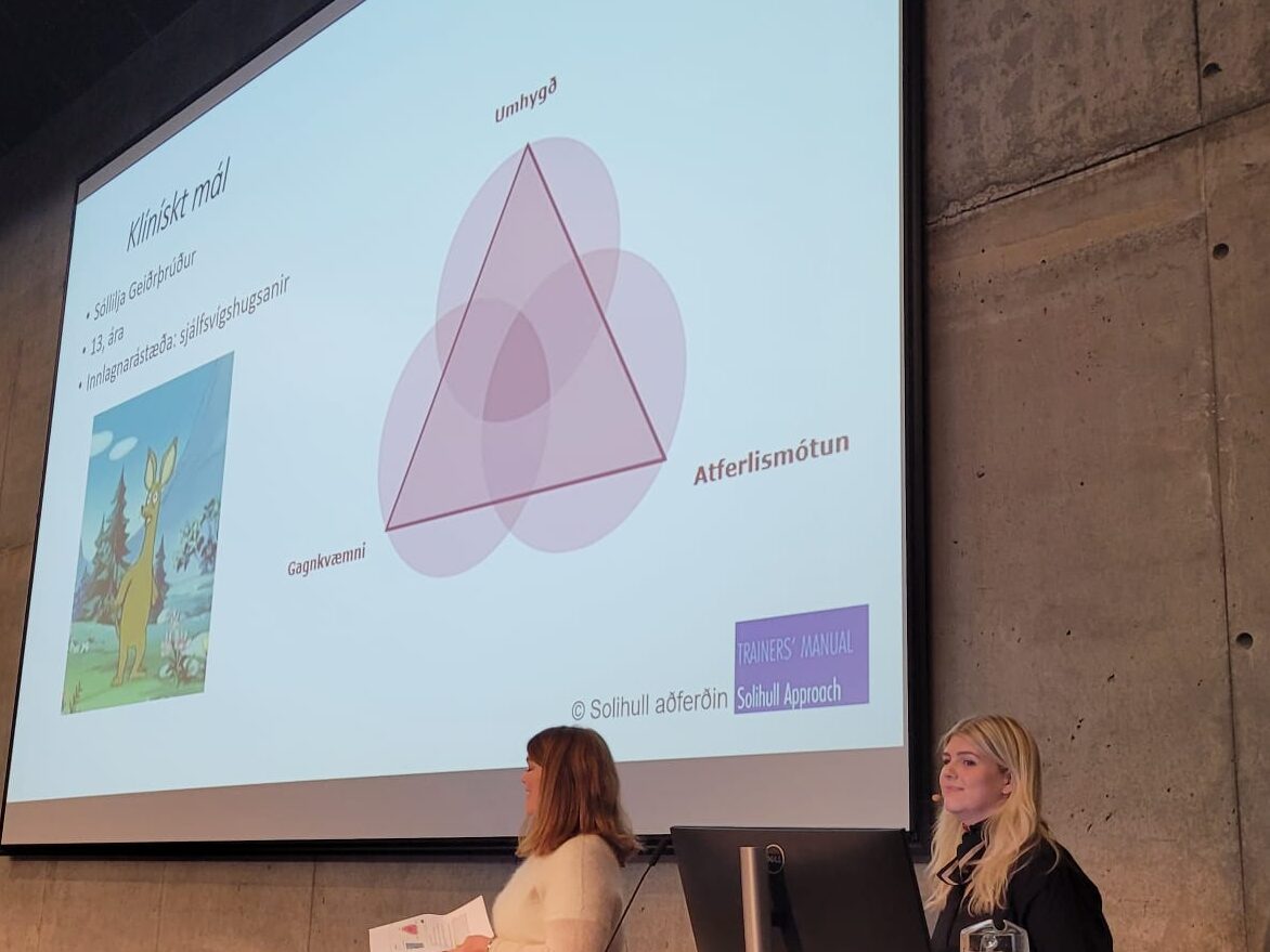 A PowerPoint presentation projected onto a large screen.